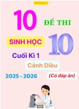 Tuyển tập 10 Đề thi cuối kì 1 năm học 2025-2026 môn Sinh học 10 Cánh Diều (Kèm đáp án)